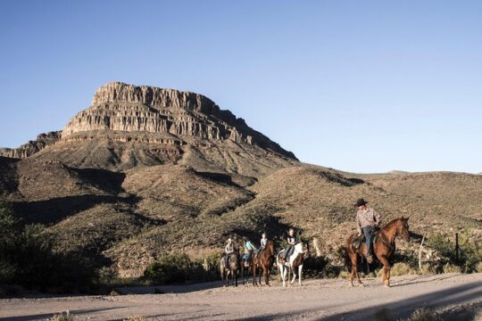 Western Ranch Overnight Experience: Cabin or Camp Out